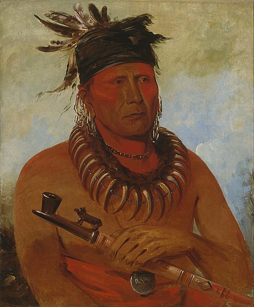 Háwchekesúgga, He Who Kills the Osages, Chief of the Tribe